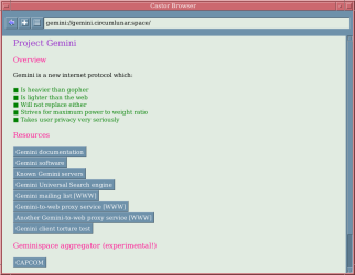 A screenshot of castor, with quite an odd GTK theme
